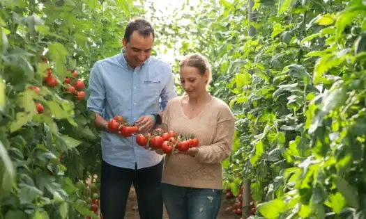 BASF | Nunhems enseña sus variedades y pies resistentes a rugoso en cuatro fincas demo / agroautentico.com
