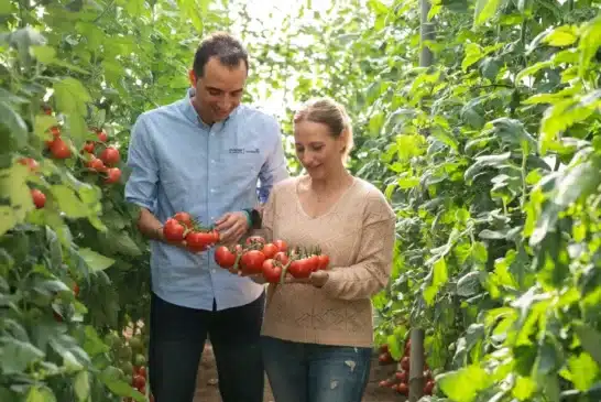 BASF | Nunhems enseña sus variedades y pies resistentes a rugoso en cuatro fincas demo