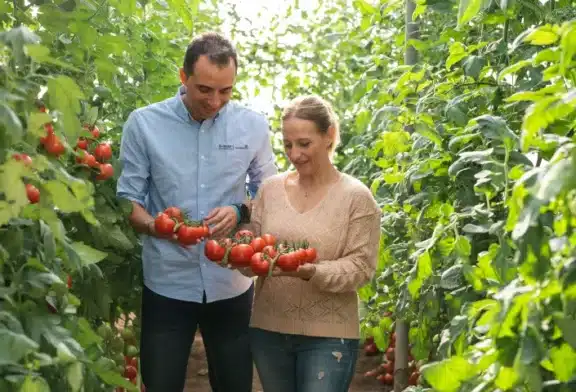 BASF | Nunhems enseña sus variedades y pies resistentes a rugoso en cuatro fincas demo