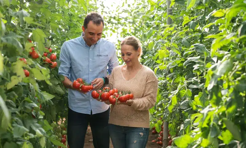 BASF | Nunhems enseña sus variedades y pies resistentes a rugoso en cuatro fincas demo / agroautentico.com