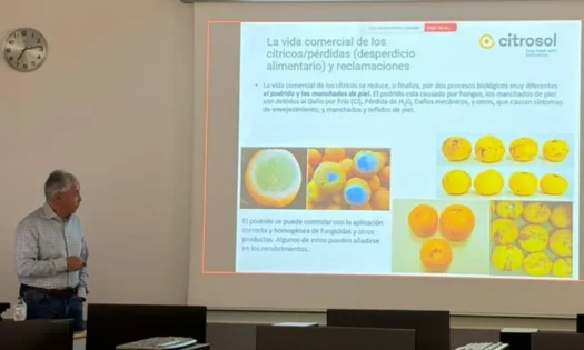 Benito Orihuel durante su charla 'Tratamientos postcosecha en cítricos: del laboratorio a las centrales hortofrutícolas' / agroautentico.com