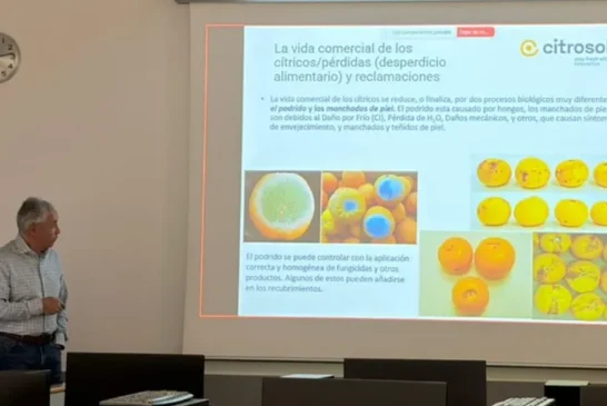 Benito Orihuel hace pedagogía postcosecha: del laboratorio a la central hortofrutícola