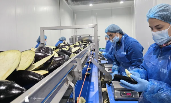 Fábrica de IV gama de berenjena de Unica Group / agroautentico.com