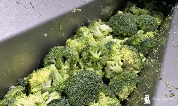 Brócoli en la planta de IV gama de Unica en Aguadulce / agroautentico.com