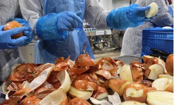 Fábrica de IV gama de Unica en Aguadulce / agroautentico.com