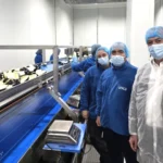 Fábrica de IV gama de berenjena de Unica en Aguadulce / agroautentico.com