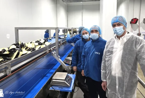 Unica da un salto hacia adelante con su fábrica de IV gama en Aguadulce