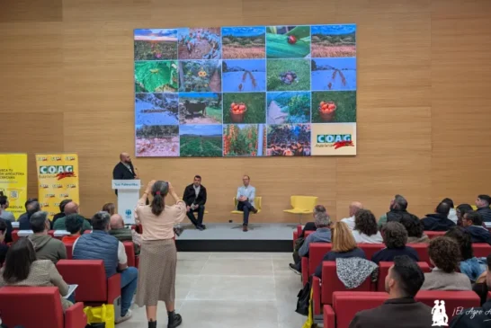 El ecológico en clave de suelos, T. parvispinus y como gran mercado EEUU