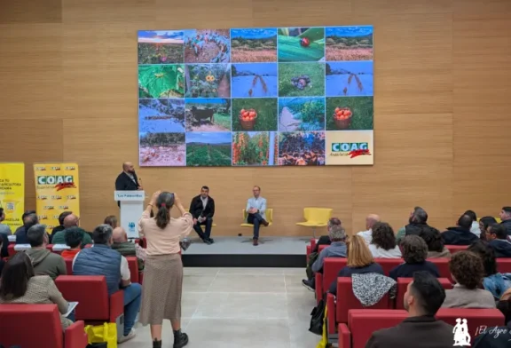 El ecológico en clave de suelos, T. parvispinus y como gran mercado EEUU