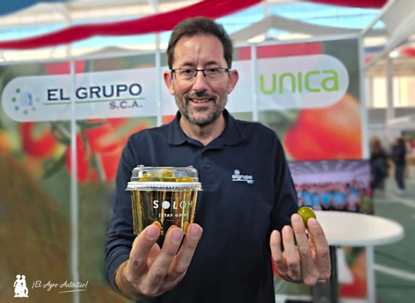 Fernando Ruiz, técnico de El Grupo, muestra un envase con el cherry Soloh de Unica / agroautentico.com