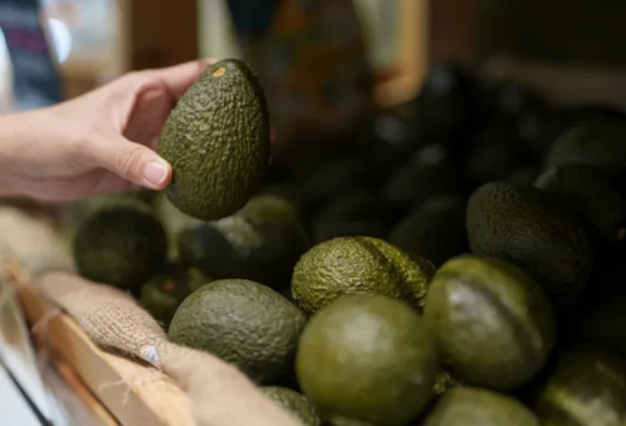 España con 24.800 hectáreas de aguacate y 6.150 de mango se reivindica frente al origen de ultramar