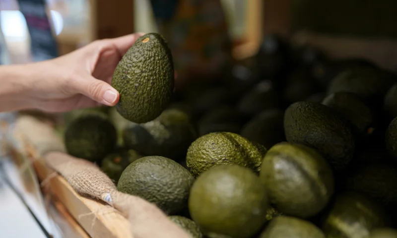 España con 24.800 hectáreas de aguacate y 6.150 de mango se reivindica frente al origen de ultramar