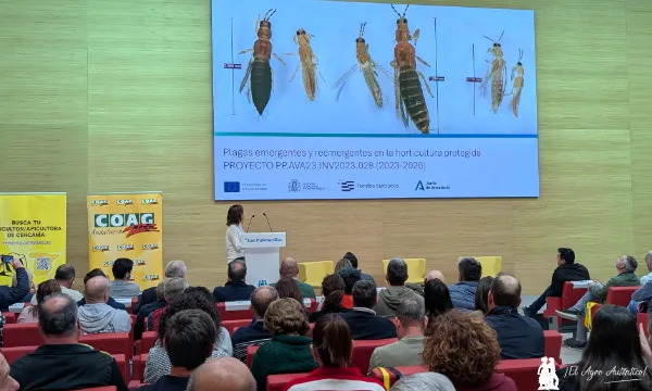 Estefanía Rodríguez (Ifapa La Mojonera) / agroautentico.com