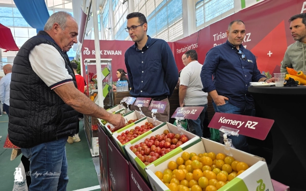 Vitrina de tomate cherry en el expositor de RZ / agroautentico.com