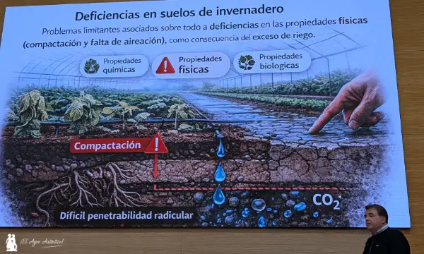 Fernando del Moral Torres, profesor de la UAL / agroautentico.com