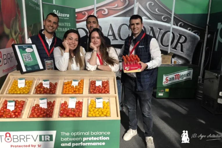 Hazera renueva con resistencias reforzadas a rugoso su catálogo de cherry