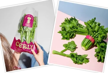 Hortofortini y Fortini firman la exclusividad con Rijk Zwaan para producir un apio mini pionero en Europa