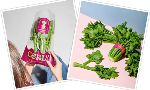 Hortofortini y Fortini firman la exclusividad con Rijk Zwaan para producir un apio mini pionero en Europa