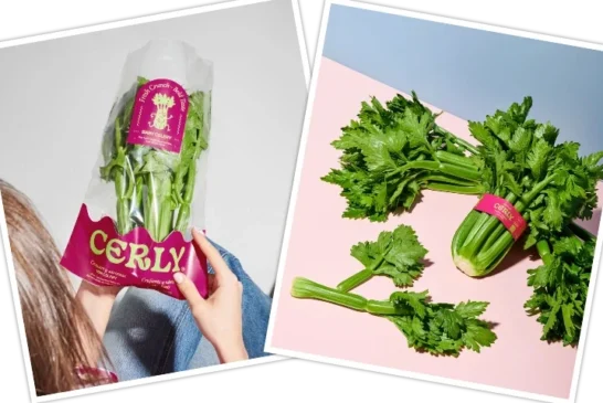 Hortofortini y Fortini firman la exclusividad con Rijk Zwaan para producir un apio mini pionero en Europa