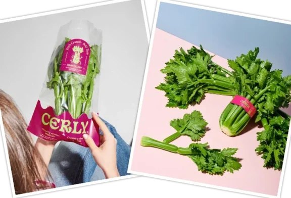 Hortofortini y Fortini firman la exclusividad con Rijk Zwaan para producir un apio mini pionero en Europa