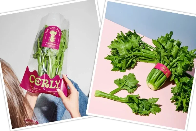 Hortofortini y Fortini firman la exclusividad con Rijk Zwaan para producir un apio mini pionero en Europa