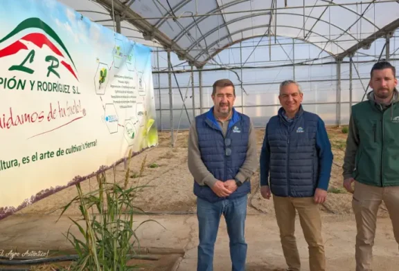 Celtonita, consorcios de bacterias y nuevos protocolos en melón y sandía con EFA Campomar