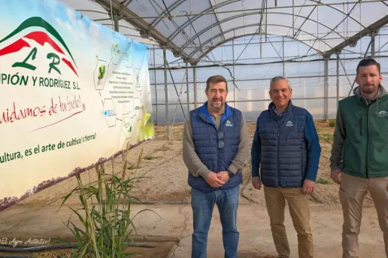 Celtonita, consorcios de bacterias y nuevos protocolos en melón y sandía con EFA Campomar