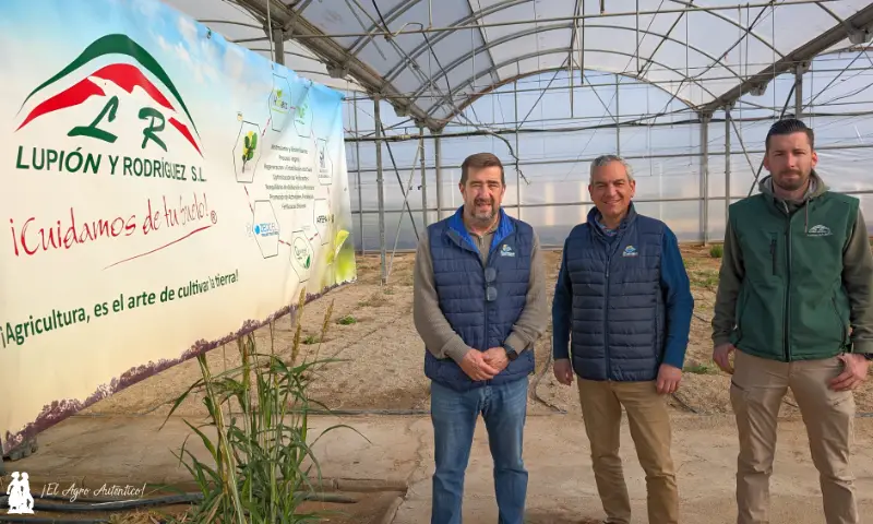 Javier Castillo, José María Molina y José Francisco Romera / agroautentico.com