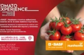 Día 25 de marzo. Jornada Tomato Experience de Nunhems