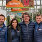 Syngenta pimiento tardío / agroautentico.com