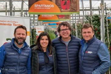 Syngenta da un golpe de autoridad en el pimiento tardío