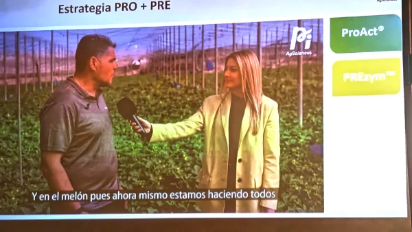 Juan Gabriel Escobar en su finca de melón donde ha implementado la estrategia Pro+ Pre / agroautentico.com