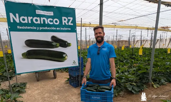Juan "el pesetas" con el calabacín Naranco / agroautentico.com