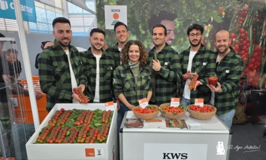 KWS Vegetables ya expone con sus primeras variedades