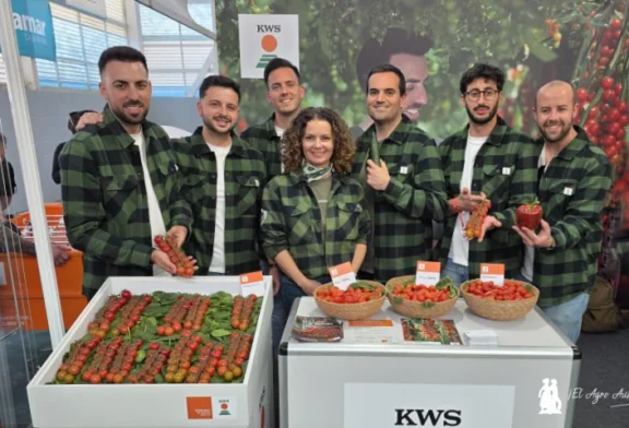 KWS Vegetables ya expone con sus primeras variedades