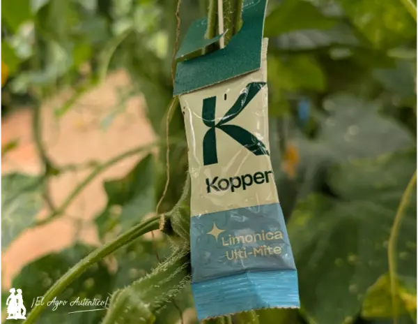 Limonica Ulti-Mite / agroautentico.com