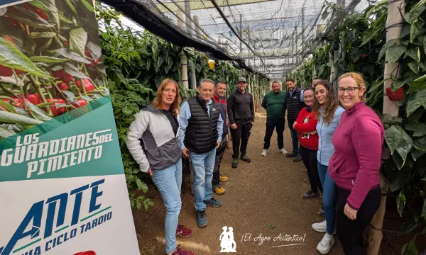Los Guardianas del Pimiento. Variedad Vigilante / agroautentico.com