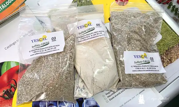 Lupión y Rodríguez presente con sus distribuciones en la II Expo Cherry en Albuñol A