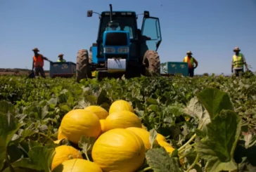 Anecoop incorpora a Marfruit como nuevo socio