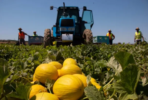 Anecoop incorpora a Marfruit como nuevo socio