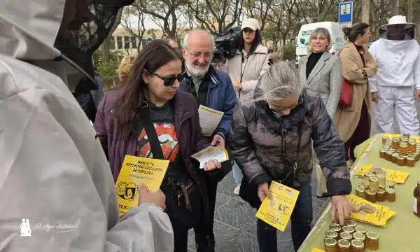 COAG Andalucía denuncia la venta de sirope disfrazado de miel con catas reivindicativas frente a grandes supermercados 7
