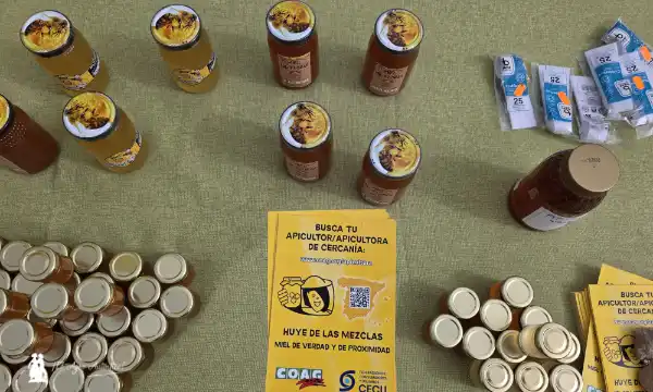 COAG Andalucía denuncia la venta de sirope disfrazado de miel con catas reivindicativas frente a grandes supermercados 9