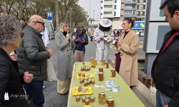 COAG Andalucía denuncia la venta de sirope disfrazado de miel con catas reivindicativas frente a grandes supermercados 3