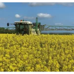 Ecoculture bate nuevos récords que duplican los rendimientos medios de producción de los cultivos