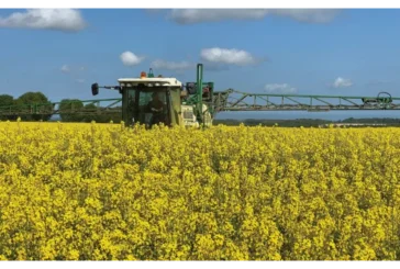 Ecoculture bate nuevos récords que duplican los rendimientos medios de producción de los cultivos