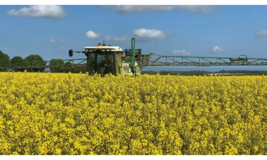 Ecoculture bate nuevos récords que duplican los rendimientos medios de producción de los cultivos