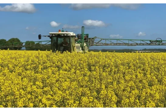 Ecoculture bate nuevos récords que duplican los rendimientos medios de producción de los cultivos