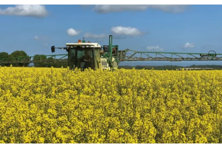 Ecoculture bate nuevos récords que duplican los rendimientos medios de producción de los cultivos