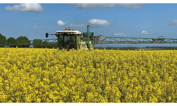 Ecoculture bate nuevos récords que duplican los rendimientos medios de producción de los cultivos