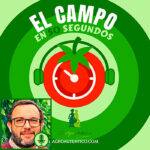 agroautentico.com